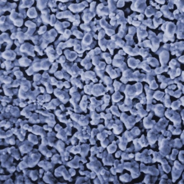 Picture of FILTER, SILVER, 0.45µm, 25MM, 50/PK