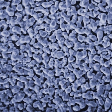 Picture of FILTER, SILVER, 0.8µm, 25MM, 50/PK